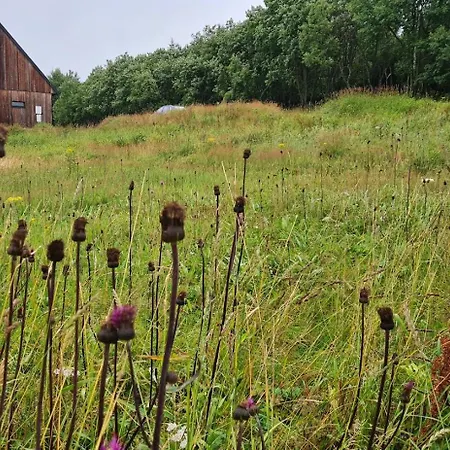 Czeresniowy Dom * Jarkowice (Lubawka)