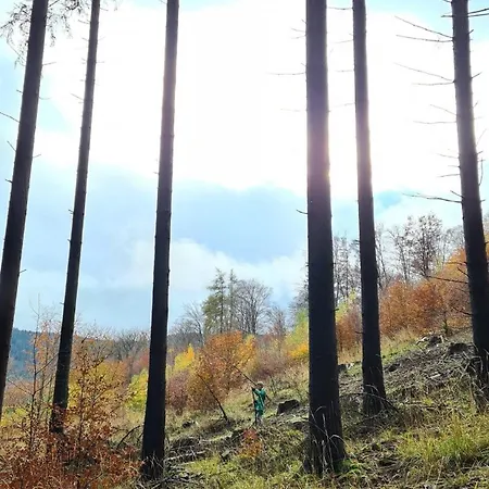 Czeresniowy Dom * Jarkowice (Lubawka)