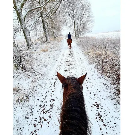 Czeresniowy Dom Chalet *