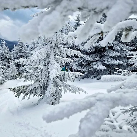 Chalet Czeresniowy Dom *