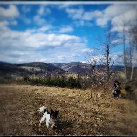 Chalet Czeresniowy Dom Jarkowice (Lubawka)