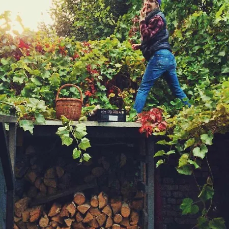 Czeresniowy Dom * Jarkowice (Lubawka)