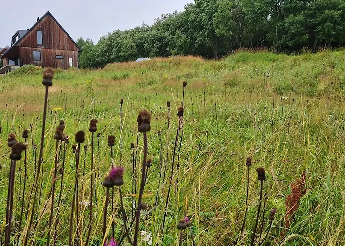 Czeresniowy Dom * Jarkowice (Lubawka)
