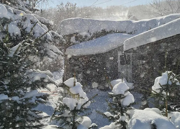 Czeresniowy Dom Chalet Jarkowice (Lubawka)