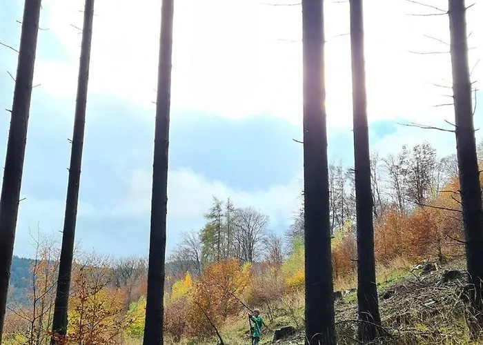 Czeresniowy Dom * Jarkowice (Lubawka)