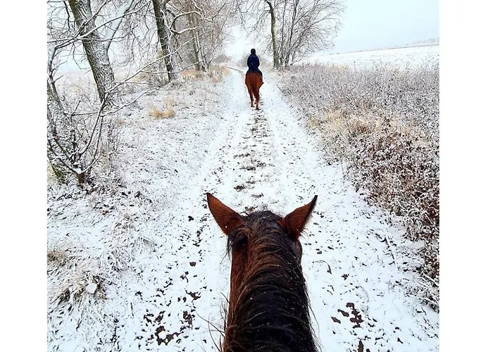 Czeresniowy Dom Chalet *