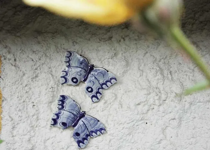 Chalet Czeresniowy Dom