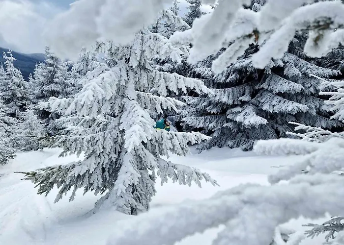 Chalet Czeresniowy Dom *