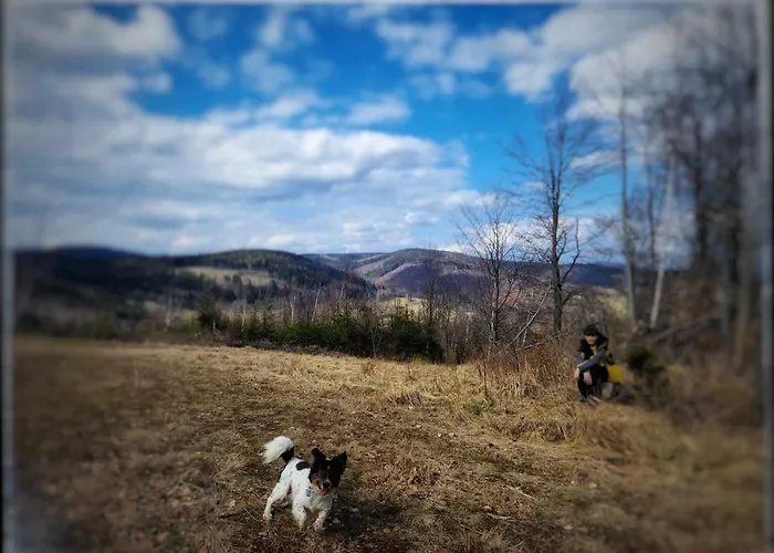 Chalet Czeresniowy Dom Jarkowice (Lubawka)