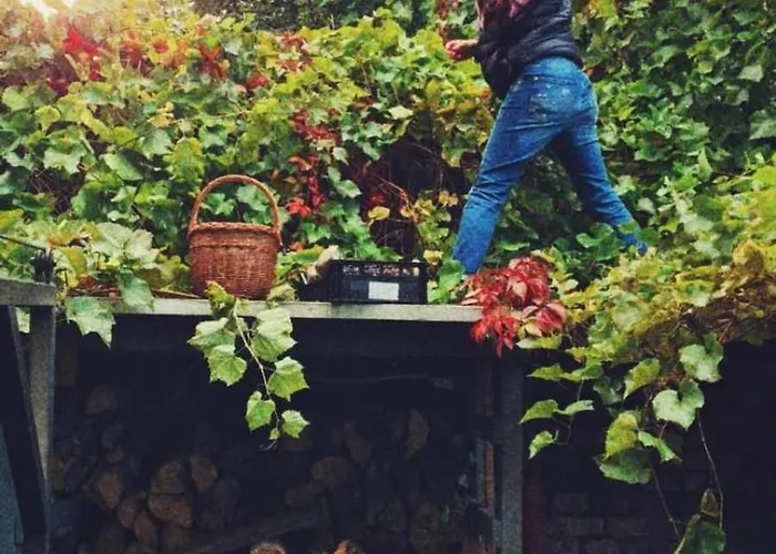 Czeresniowy Dom * Jarkowice (Lubawka)